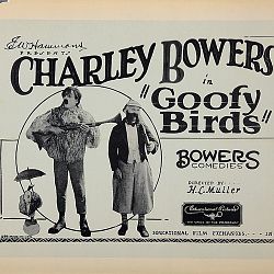 1928-Goofy Birds-poster