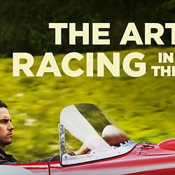 2019 The Art Of Racing In The Rain