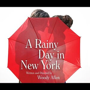 2019-Rainy Day in NY-poster.jpg