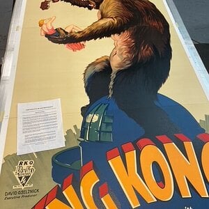 Kong with COA.JPG