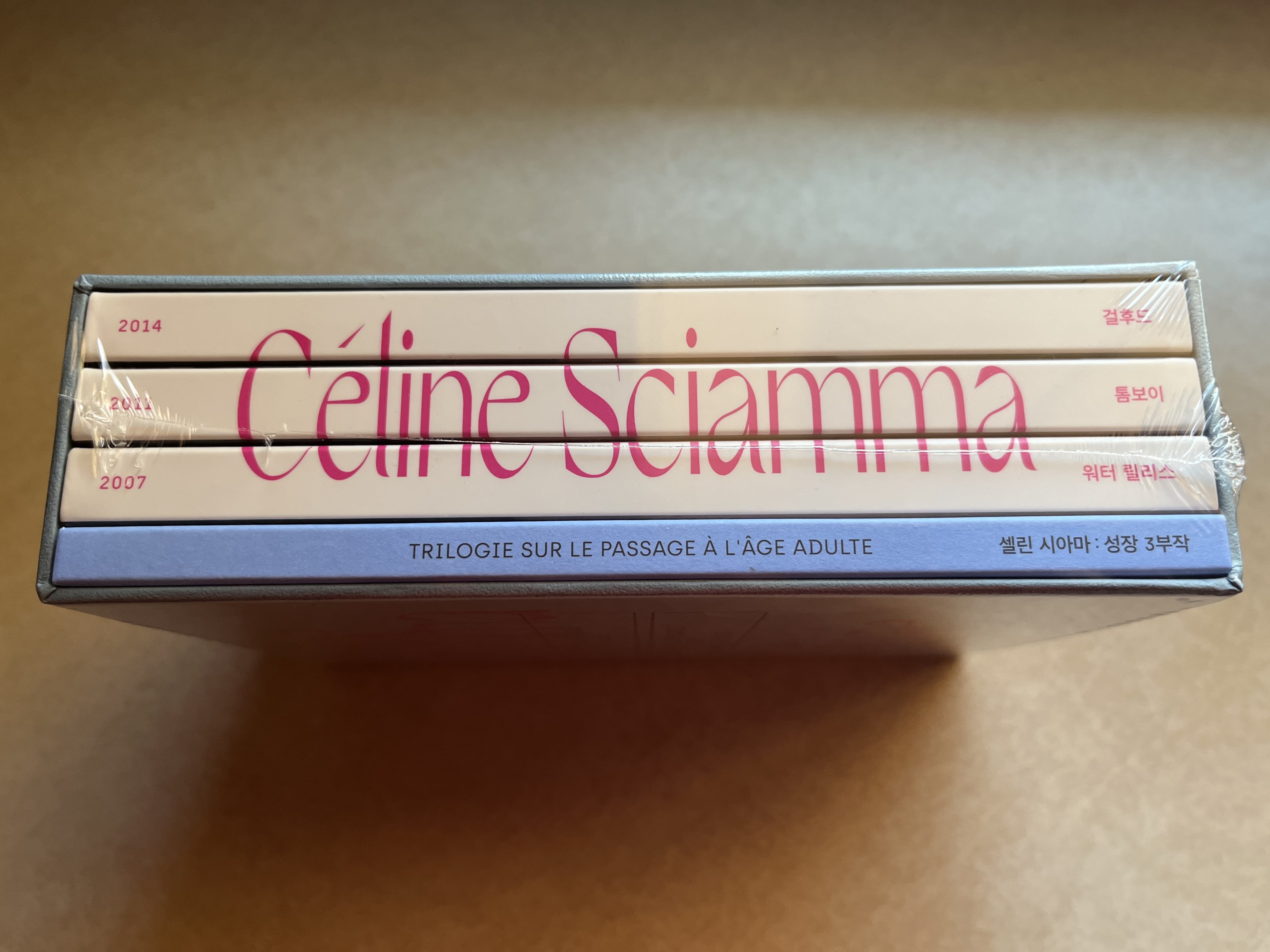 Céline Sciamma Coming-Of-Age Trilogy 2.JPG