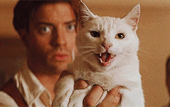TheMummy.1999.giphy.gif