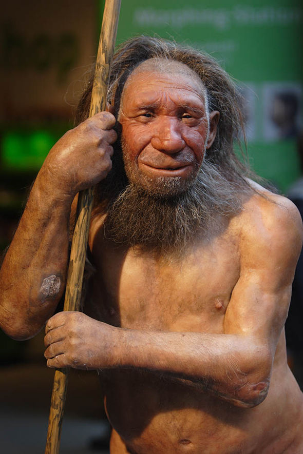 Neanderthal-museum-763013.jpg