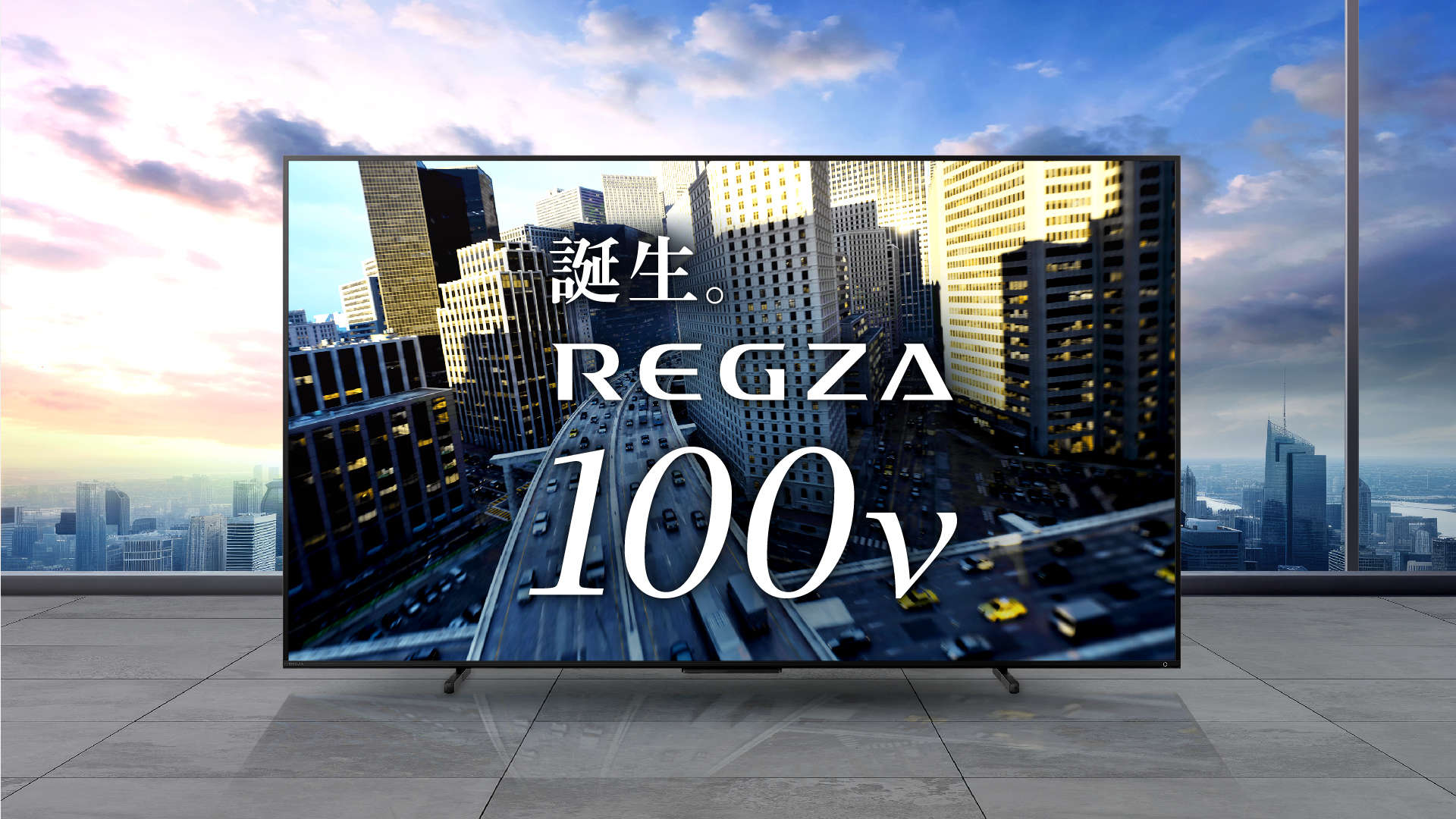 www.regza.com