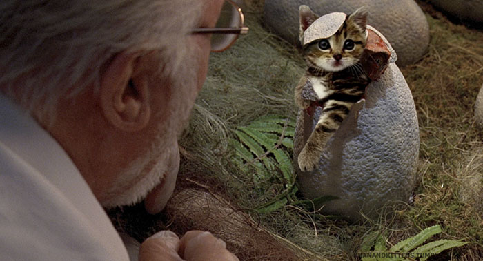 jurassic-park-dinosaurs-replaced-with-cats-21-5978351c2eb96__700.jpg