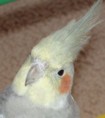 JohnMor's Photo