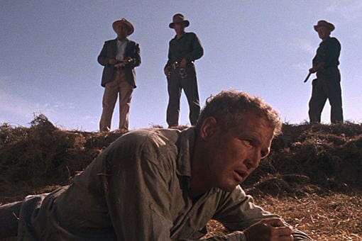 Cool hand Luke 4K UDH Review