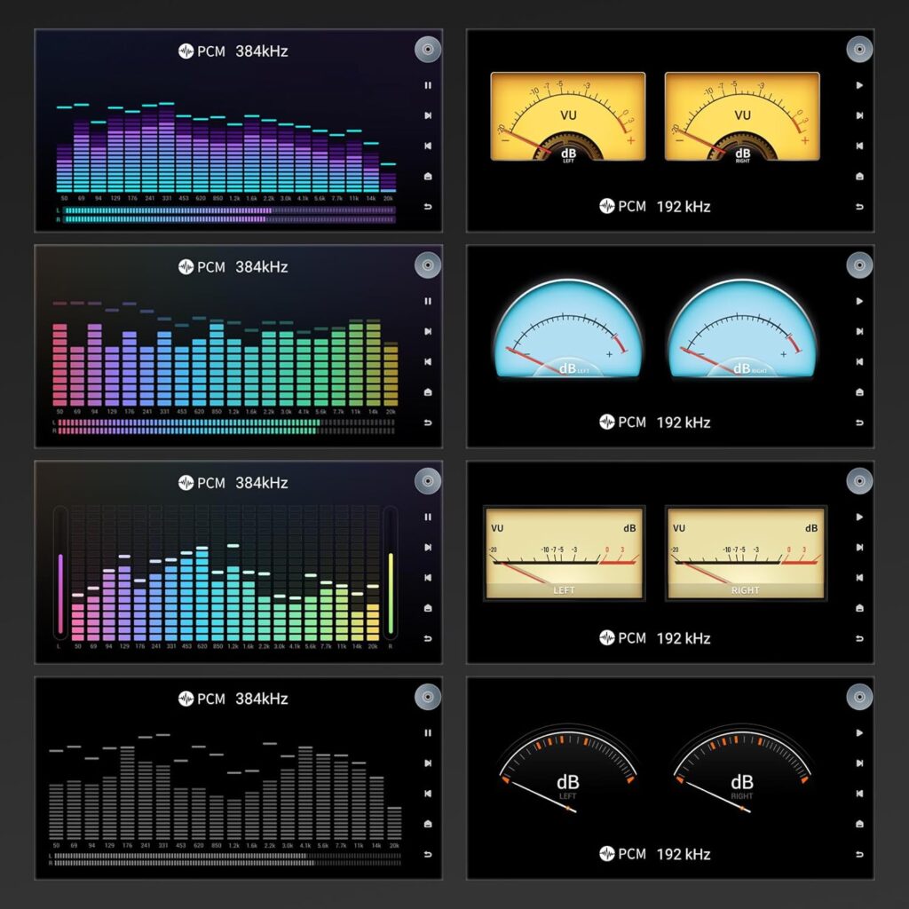 EverSolo DMP-A6 App Meters