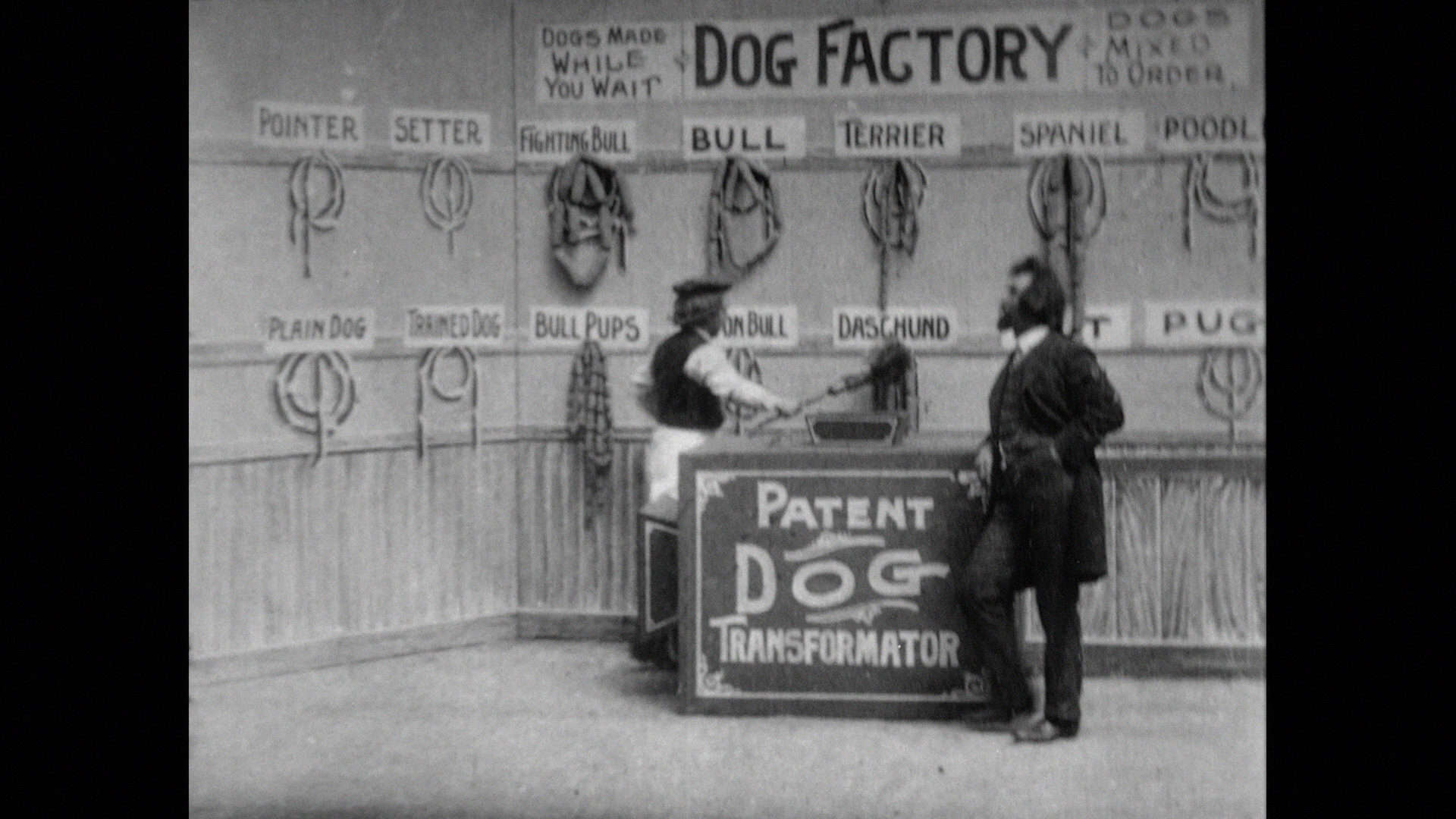 Wonder Dogs! Canine Stars of the Silent Era blu ray review